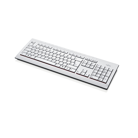 Fujitsu KB521 Tastatur Büro USB Grau