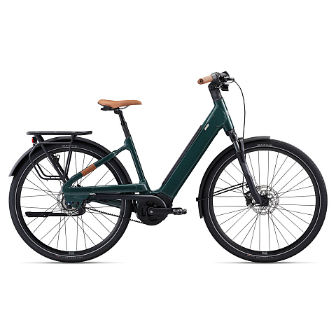 Liv 4712878737228 Elektro-Fahrrad Braun, Grün Aluminium 28,4 kg