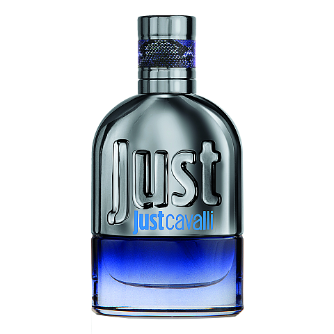 Roberto Cavalli JRC05003 Eau de Toilette 30 ml Männer