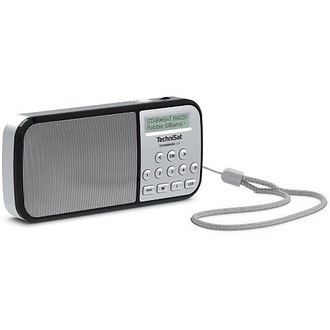TechniSat RDR Tragbar Analog & Digital Silber