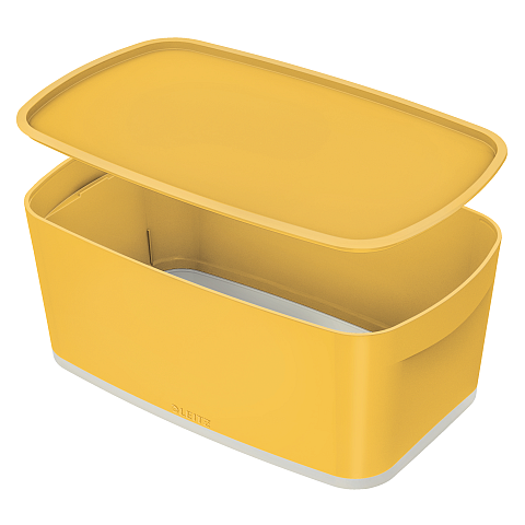 Leitz 52630019 Aufbewahrungsbox Rechteckig Kunststoff Gelb