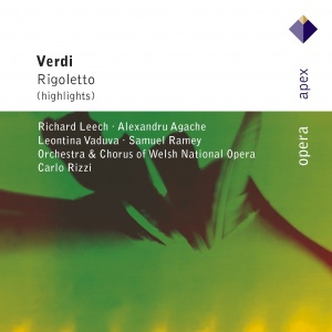 Warner Music Carlo Rizzi - Rigoletto (Highlights), CD Klassisch