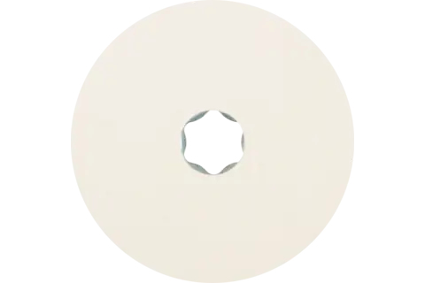 PFERD COMBICLICK felt discs 5 Stück(e)