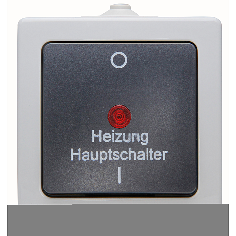 Kopp 565356002 Lichtschalter Thermoplast Schwarz, Grau