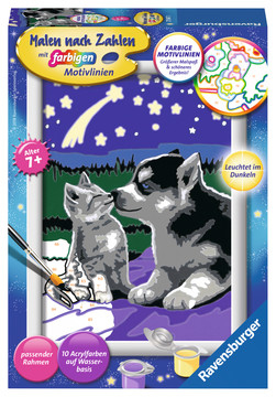 Ravensburger 00.027.847 Malen nach Zahlen Set