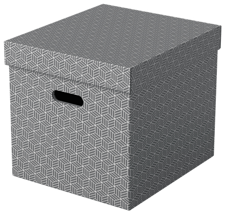 Esselte 628289 Dateiablagebox Karton Grau