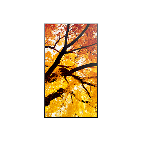 Sharp MultiSync M432 Digital Signage Flachbildschirm 108 cm (42.5") LCD 550 cd/m² 4K Ultra HD Schwarz