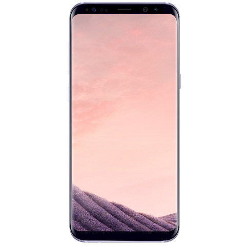 Samsung Galaxy S8+ SM-G955F 15,8 cm (6.2") Android 7.0 4G USB Typ-C 4 GB 64 GB 3500 mAh Grau