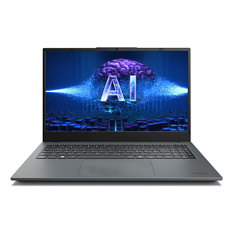 MEDION E15443 Intel Core Ultra 5 125H Laptop 39,6 cm (15.6") Full HD 16 GB DDR5-SDRAM 512 GB SSD Windows 11 Home Grau