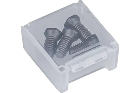 PFERD Cutting inserts bolt set 1 Stück(e)