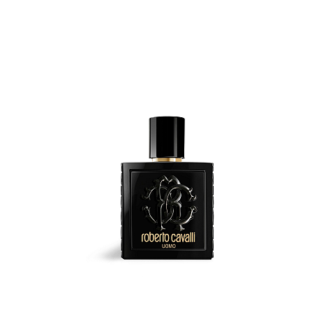 Roberto Cavalli Uomo 100 ml Männer