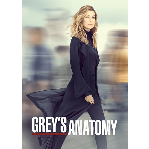 Disney Grey's Anatomy Season 2 DVD Englisch