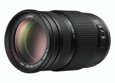Panasonic H-FS100300 Teleobjektiv Schwarz