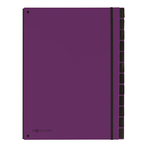 Pagna 24129-12 Schnellhefter Violett Karton, Polypropylen (PP) A4