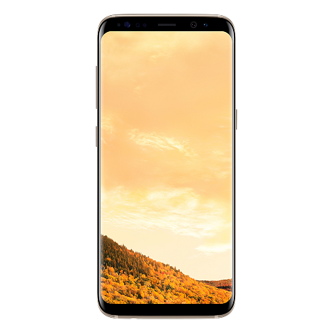 Samsung Galaxy S8 SM-G950FD 14,7 cm (5.8") Dual-SIM Android 7.0 4G USB Typ-C 4 GB 64 GB 3000 mAh Gold