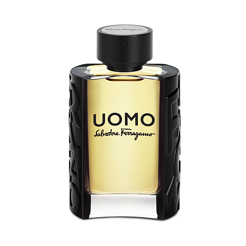 Salvatore Ferragamo Uomo 100 ml Männer