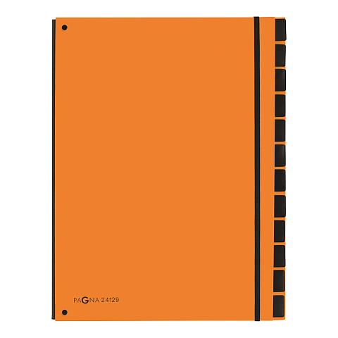Pagna 24129-09 Schnellhefter Orange Karton, Polypropylen (PP) A4
