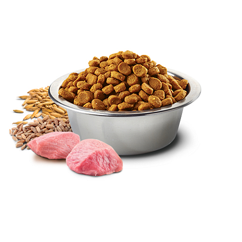 Farmina Pet Food CHICKEN & POMEGRANATE PUPPY MEDIUM & MAXI 2,5 kg Welpe Huhn
