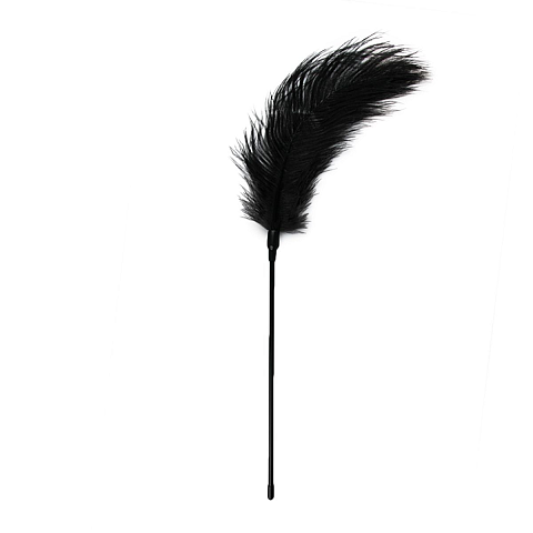 EasyToys Schwarzer Feder-Tickler