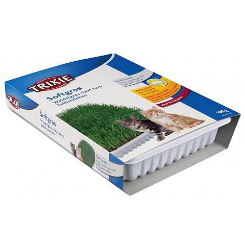 TRIXIE 4232 Haustiergras-Samen Katze