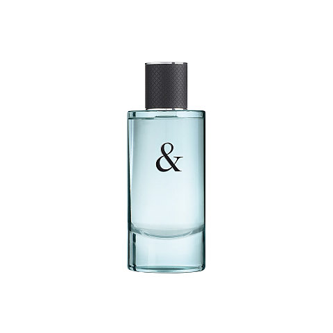 Tiffany & Co. Love Eau de Toilette for Him 90 ml Männer