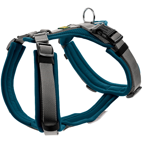 Hunter Maldon XS Grau, Türkis Nylon Hund Halftergeschirr