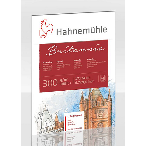 Hahnemühle 10628983 Kunstdruckpapier Kunstpapier 12 Blätter