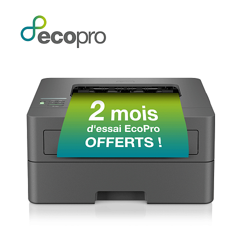 Brother HL-L2447DW Laser-Drucker 1200 x 1200 DPI A4 WLAN