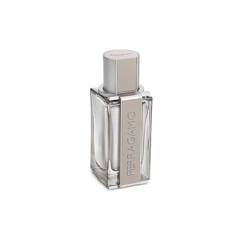 Salvatore Ferragamo Ferragamo Bright Leather 50 ml Männer
