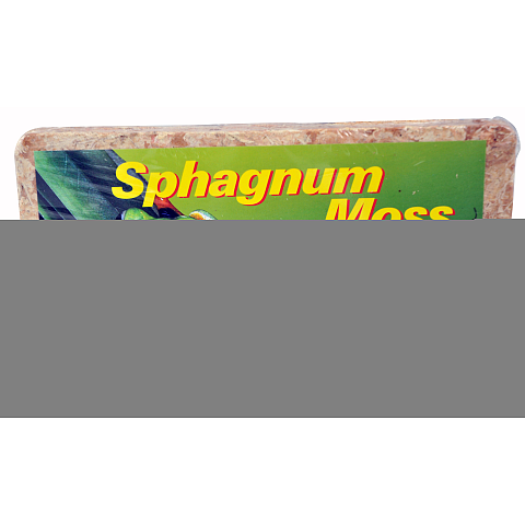 Lucky Reptile SM-100 Substrat für Reptilien/Amphibien Laubmoose 100 g