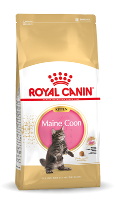 Royal Canin Maine Coon Kitten Katzen-Trockenfutter 10 kg