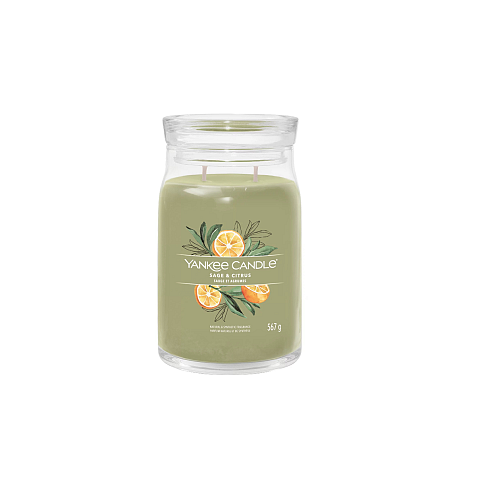 Yankee Candle Sage & Citrus Wachskerze Zylinder Zitrus Grün 1 Stück(e)