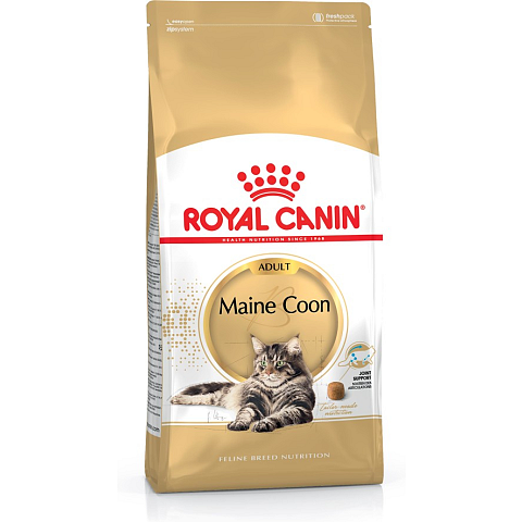 Royal Canin Maine Coon Katzen-Trockenfutter 4 kg Adult