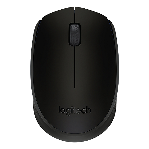 Logitech B170