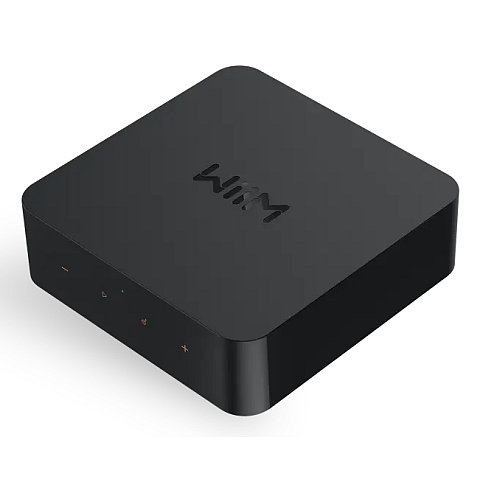 WiiM Pro Plus Haus Grau