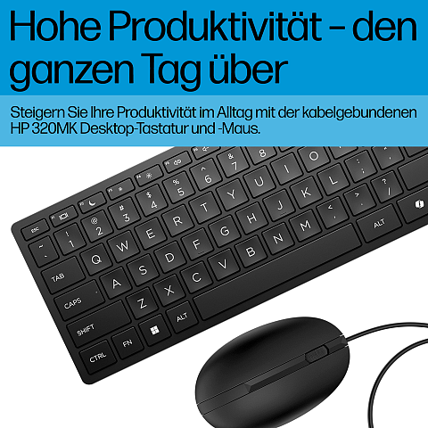 HP Wired Desktop 320MK Maus und Tastatur