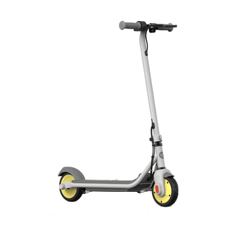 Ninebot by Segway ZING C8 Elektro-Kickroller Grau 16 km/h 2,5 Ah