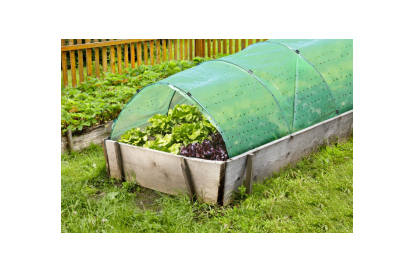 Windhager 06802 Pflanzenabdeckhaube Grün PVC