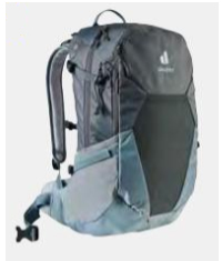 Deuter Futura 21 l Grau