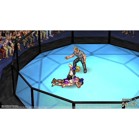 Spike Chunsoft Fire Pro Wrestling World