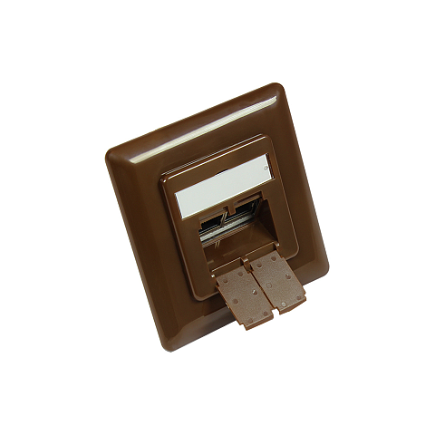 Alcasa GC-N0051BR Steckdose RJ-45 Braun