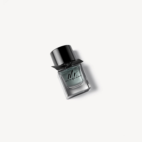 Burberry Mr. 50 ml Männer