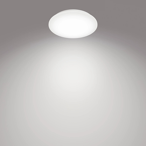 Philips Funktional Moire Deckenleuchte, 10 W