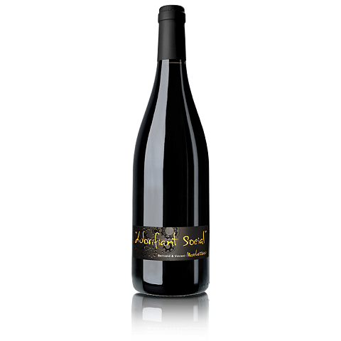 Vincent Marchesseau St NICOLAS DE BOURGUEIL Lubrifiant social Wein 0,75 l Rebsorte Rotwein 2017