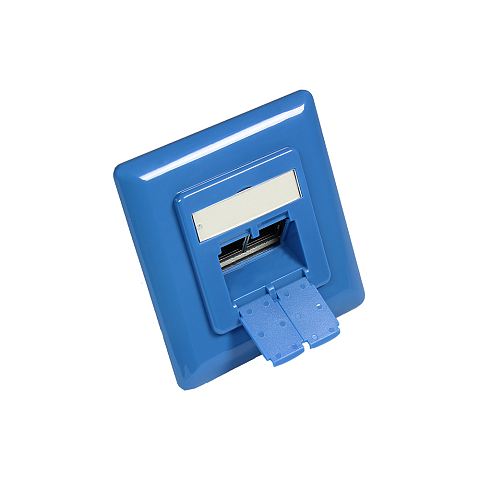 Alcasa GC-N0051B Steckdose RJ-45 Blau