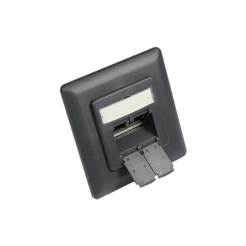 Alcasa GC-N0052AG Steckdose RJ-45 Anthrazit, Grau