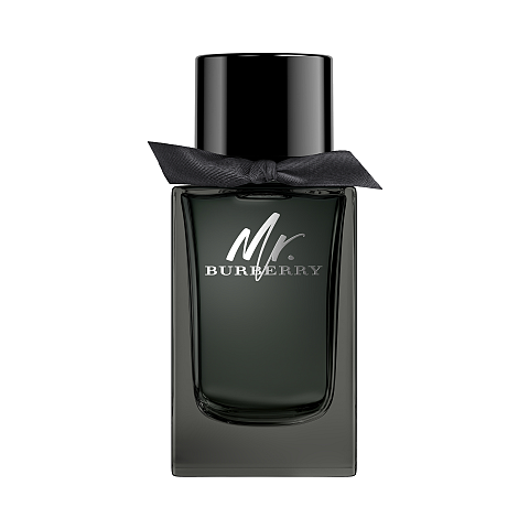 Burberry Mr. 150 ml Männer