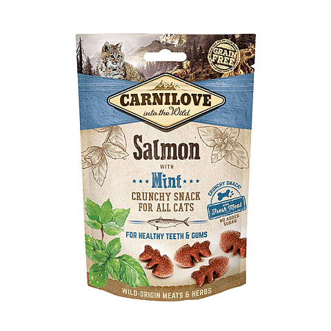 CARNILOVE Salmon with Mint Katzen-Trockenfutter 50 g Adult Lachs