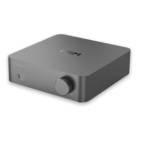 WiiM Vibelink Amp 1.0 Kanäle Mehrzweck Grau