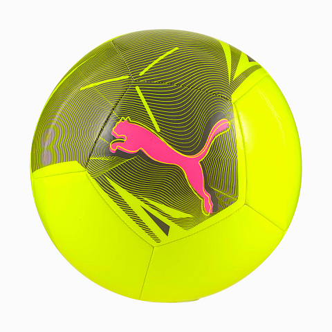 PUMA Big Cat